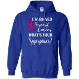 I Survived Breast Cancer! Hoodie