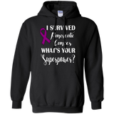I Survived Pancreatic Cancer! Hoodie