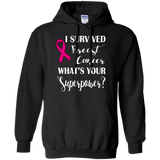I Survived Breast Cancer! Hoodie