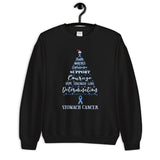 Stomach Cancer Awareness Christmas Hope Sweatshirt - The Awareness Store