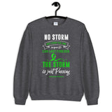 Depression Awareness The Storm Is Passing Sweatshirt - The Awareness Store